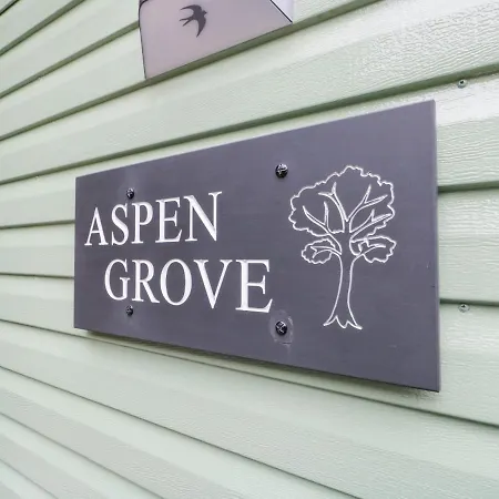 Aspen Grove